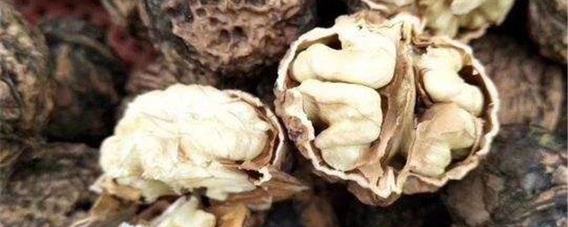 胡桃和核桃的区别 胡桃和核桃的区别未成熟