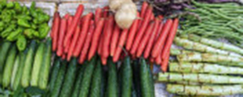 大棚蔬菜和露天蔬菜有什么区别（大棚蔬菜跟露天蔬菜有啥区别）