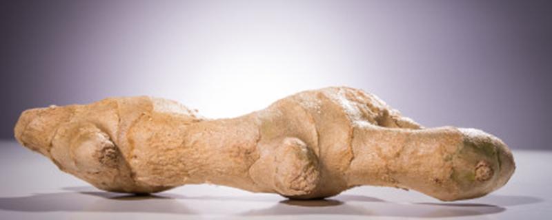 如何种植生姜 如何种植生姜能提高产量和品质