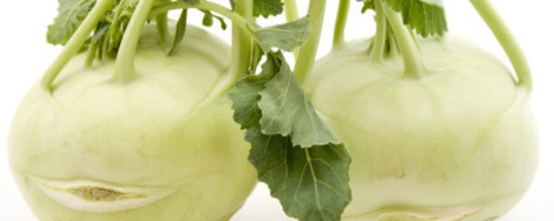 大头菜种植方法和时间 大头菜种植方法和时间温度