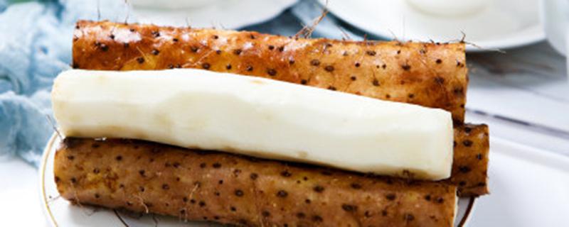 山药怎么种植方法（山药的种植技术）