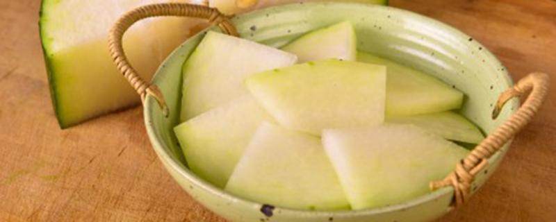 冬瓜冬天可以种吗(冬瓜冬天可以种吗北方)