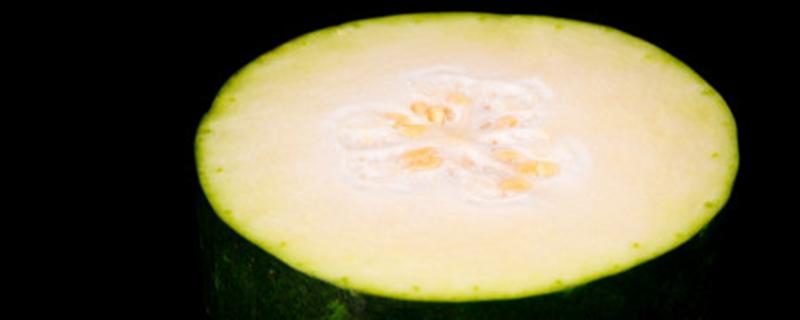 冬瓜种子一般几天发芽（冬瓜种子一般几天发芽出苗）