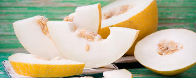 甜瓜种子怎么种（甜瓜种子怎么种植方法）