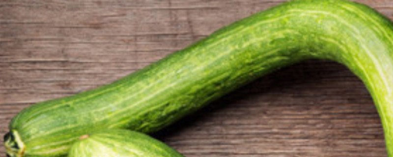 蛇瓜开花后为什么不长瓜 蛇瓜为什么不结果