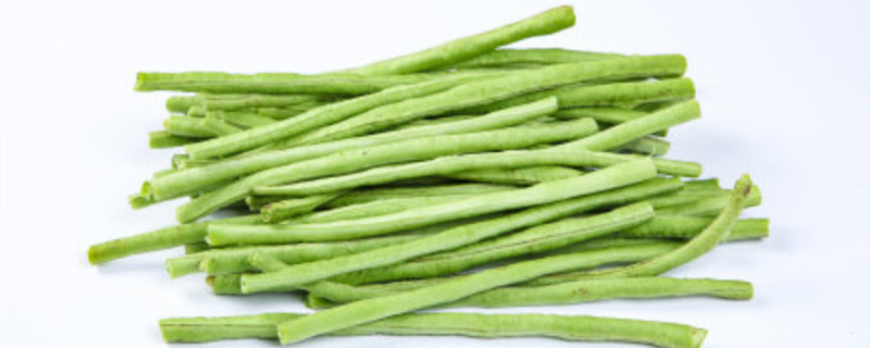 豇豆种子怎么催芽（豇豆种子浸种催芽法）