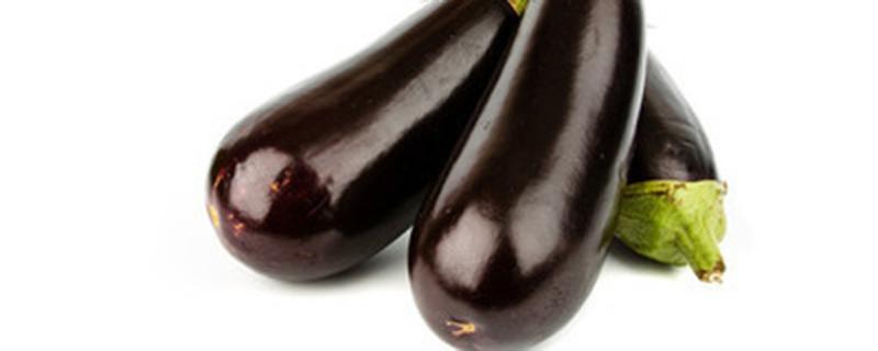 茄子开花不坐果是怎么回事（茄子开花不坐果是怎么回事儿）