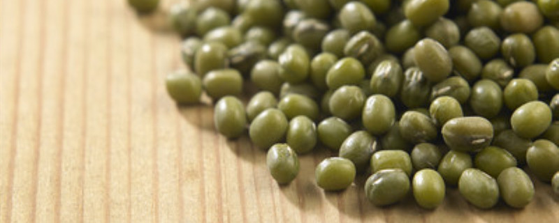 绿豆种植时间和技术 绿豆种植时间和技术产量