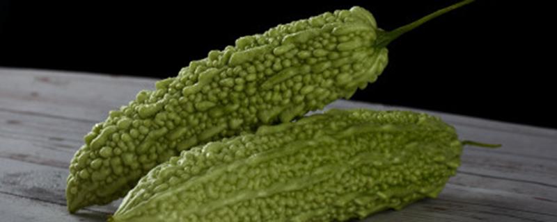 早春苦瓜什么时候种植（早春苦瓜种植时间）