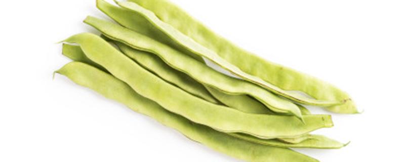 四季豆卷叶打什么药（四季豆打什么药好）