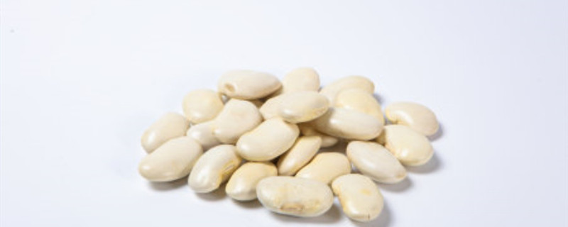 南方扁豆什么时候种植（南方扁豆什么时候种植最佳）