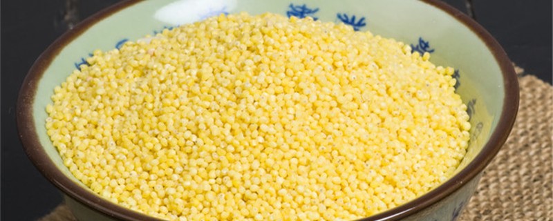 小米什么时候收割成熟 陕北小米什么时候收割成熟