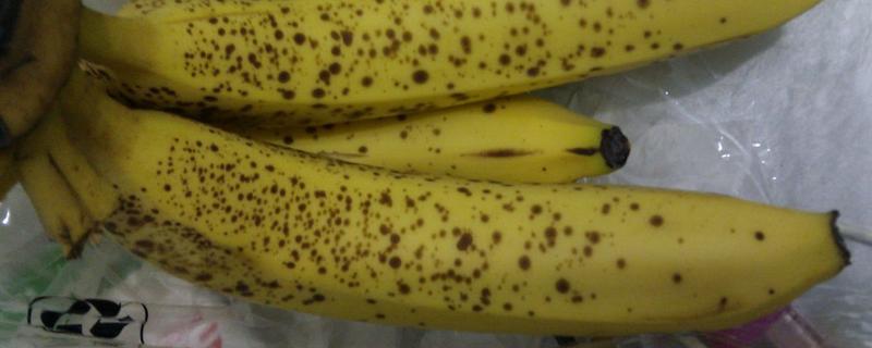 香蕉皮黑了还能不能吃,吃香蕉有哪些禁忌