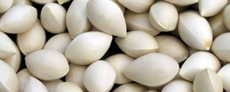 鲜白果该如何处理，有什么方法，可以生吃吗