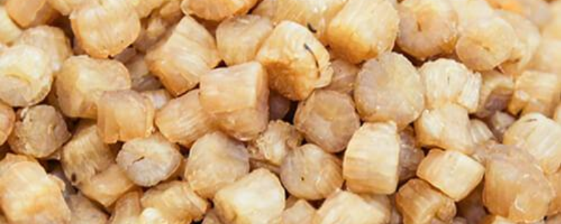 泡发干扇贝肉的办法是什么，扇贝怎么做才好吃