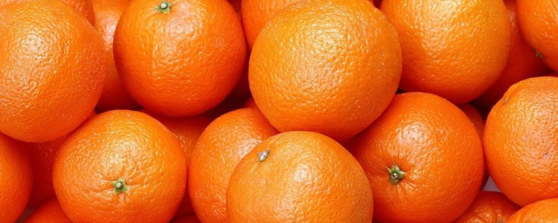 适合在秋冬季节吃的水果有哪些，这些水果好吃又健康