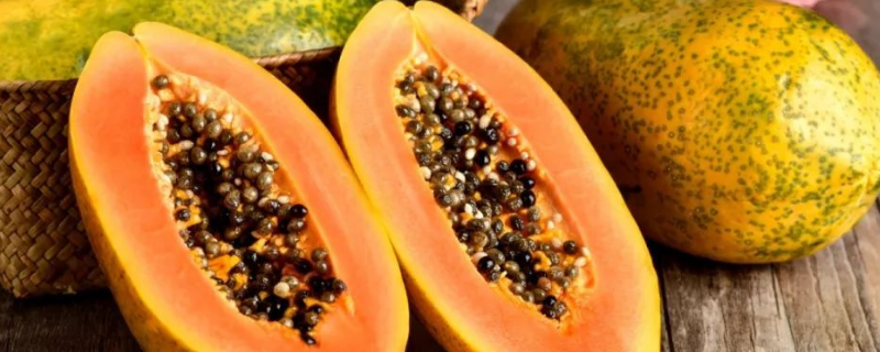 木瓜树一般能活多久,种植木瓜几年可以开花结果