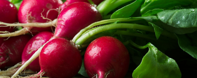 小水萝卜的叶子能不能吃,有哪些常见做法