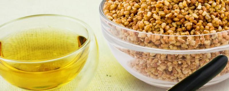 苦荞茶，附营养价值（苦荞茶的药用价值）