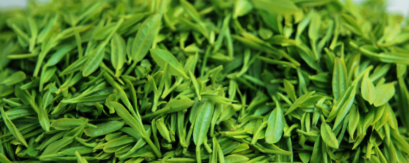 绿茶有哪些茶，附详细介绍 绿茶 有哪些