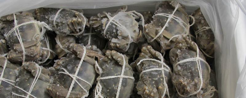 冷冻后的大闸蟹还能不能吃,附大闸蟹的挑选方法