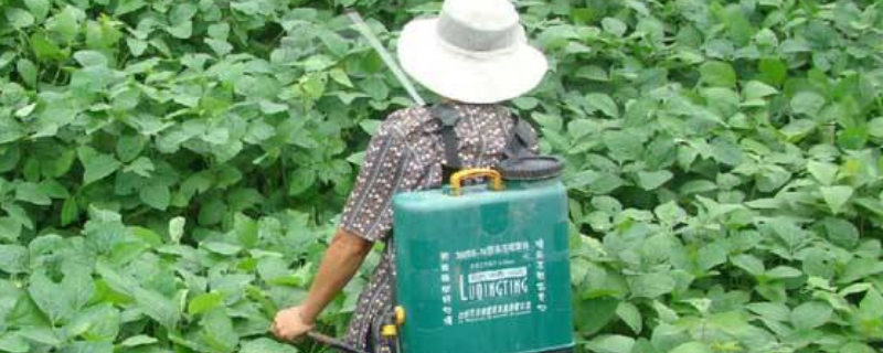 农药对人体的危害有哪些 农药对人体的危害有哪些地理