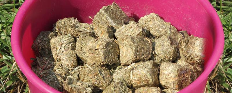 自制饲料弄成颗粒的方法,饲料的种类有哪些