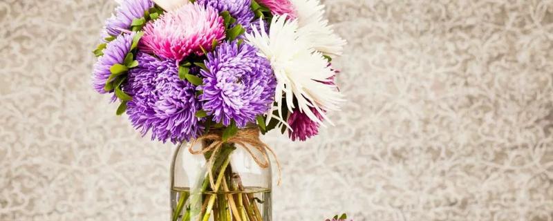 怎么养鲜花，有哪些要点 养鲜花需要注意什么