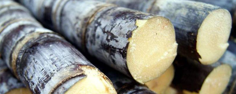 甘蔗正确的施肥方法，应合理追肥 甘蔗正确的施肥方法,应合理追肥吗