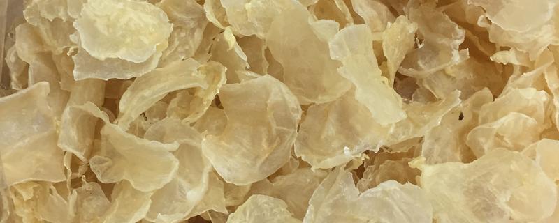 怎样区分蝴蝶胶与花胶,花胶挑选技巧