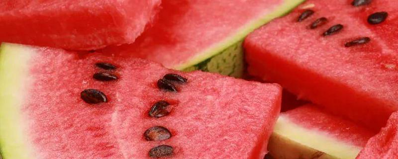西瓜的佳种植时间，主要产地有哪些 西瓜盛产季节