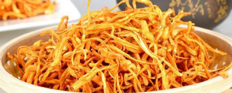 虫草花和蛹虫草有什么不同,虫草花的主要价值有哪些
