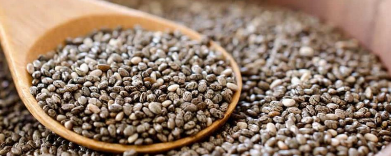 奇亚籽生吃可以吗,食用奇亚籽的注意事项