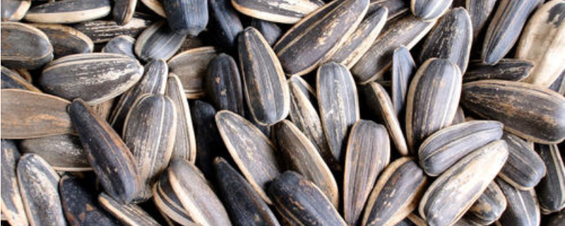 葵花籽能不能生吃，有什么作用 生吃葵花籽有什么好处和坏处