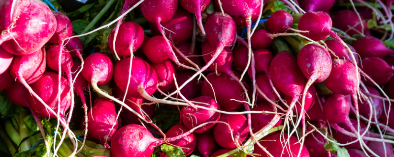 甜菜可以生吃吗，常见生吃法有哪些 甜菜是生菜吗