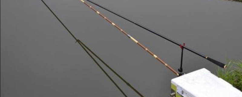 台钓竿是什么意思 台钓竿是什么意思啊