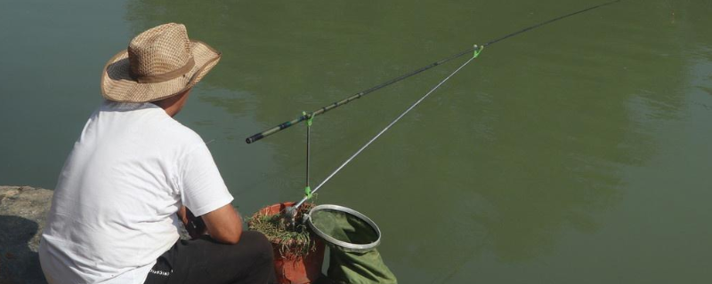 传统钓配多长的线（传统钓线多长合适）