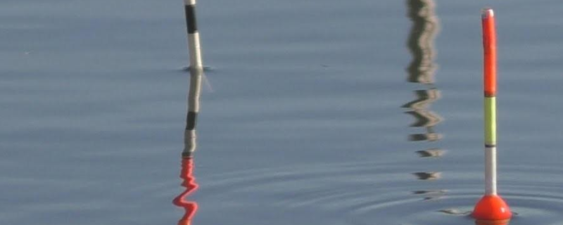 黑漂是怎么形成的(黑漂怎么办)