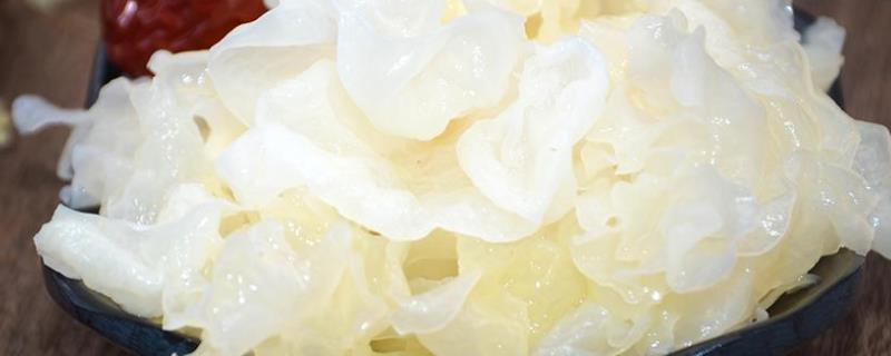 银耳的栽培条件，附栽培条件（银耳的栽培过程关键技术）