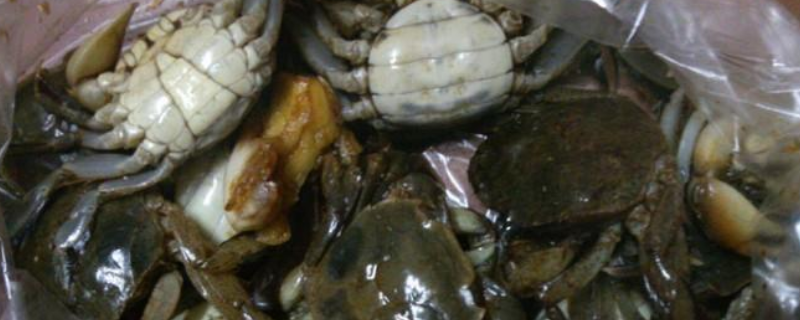 扁蟹和梭子蟹有什么不同,详细介绍 螃蟹和梭子蟹一样吗