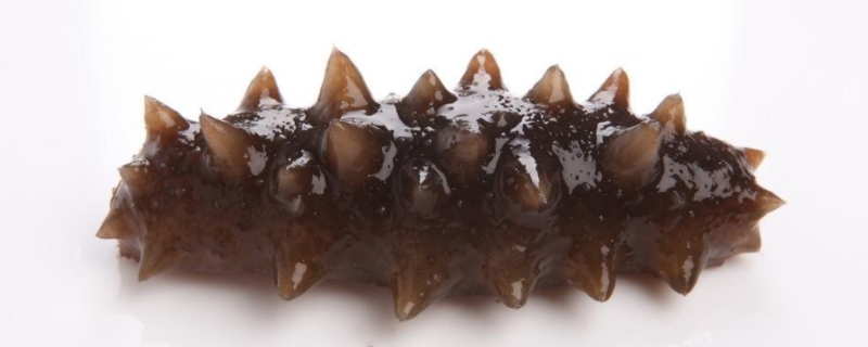 泡发好的海参还能放进冰箱里冷藏吗,泡发的海参有哪些保存方法