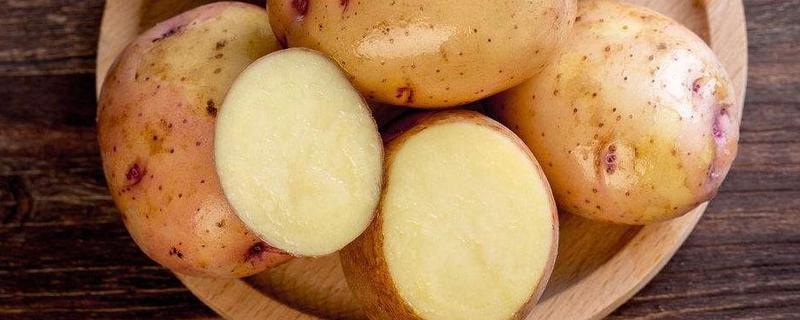切开的土豆隔夜后还能吃吗，什么样的土豆不能吃