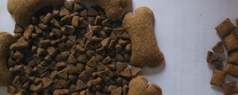 宠物饲料归为哪类垃圾，关于湿垃圾的介绍