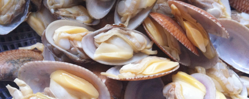 花甲最肥是什么时候,附花甲常见做法