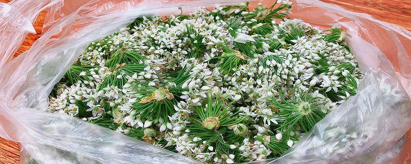 韭菜花能否生吃，常见吃法有哪些（韭菜花可以吃吗菜花的吃法）