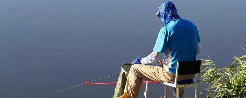 是否建议冬天钓草鱼时钓底 夏季白天钓草鱼钓底还是钓浮