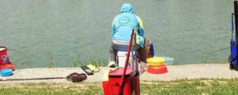 钓草鱼用韭菜逢草必杀是真的吗 钓大草鱼必杀饵韭菜