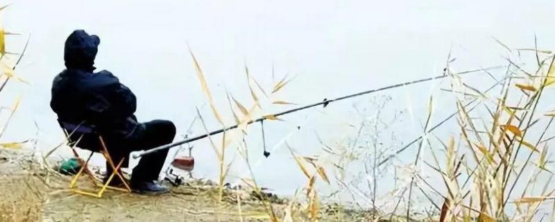 传统钓鲫鱼用多长的鱼竿（钓鲫鱼用多长的鱼竿好）