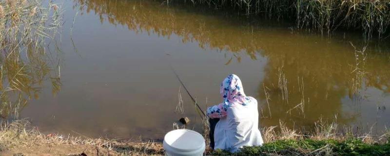 怎么调漂适合传统钓立漂（传统钓立漂精确调漂）