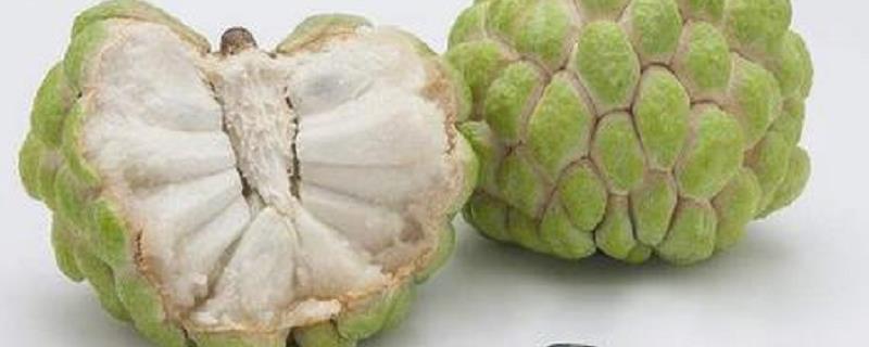 番鬼荔枝多少钱一斤（番番荔枝多少钱一斤）